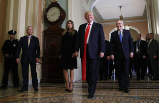 Illustration for article titled Trump Ties